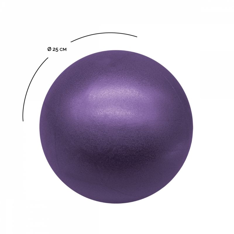 Lot de 5 ballons de pilates - 25 cm - Violet