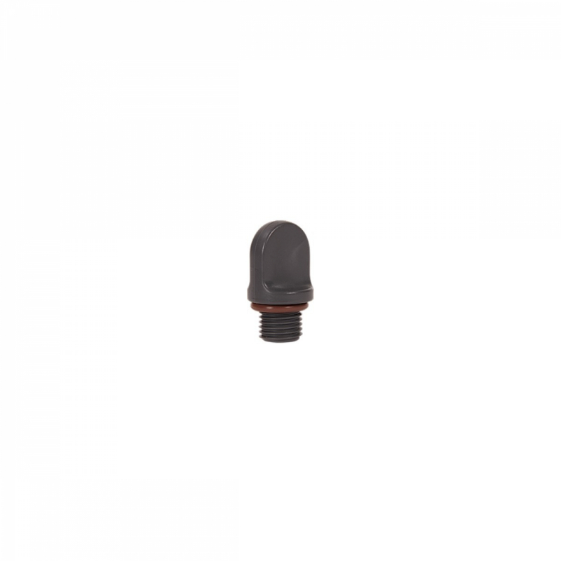 Bouchon de vidange pour Saline C - Noir - BSX1PLUG2 - HAYWARD