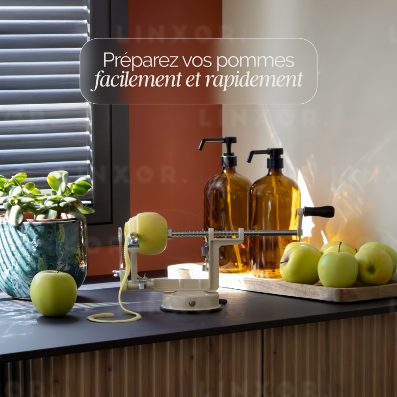 Épluche pomme - 3 en 1 - Gris