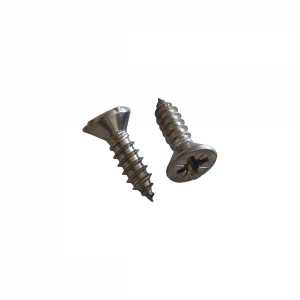 Lot de 2 vis pour bonde de fond béton - PDFBXVS - HAYWARD