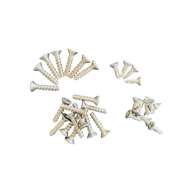 Lot de 30 vis pour skimmer paroi mince - SKPMXVS - HAYWARD