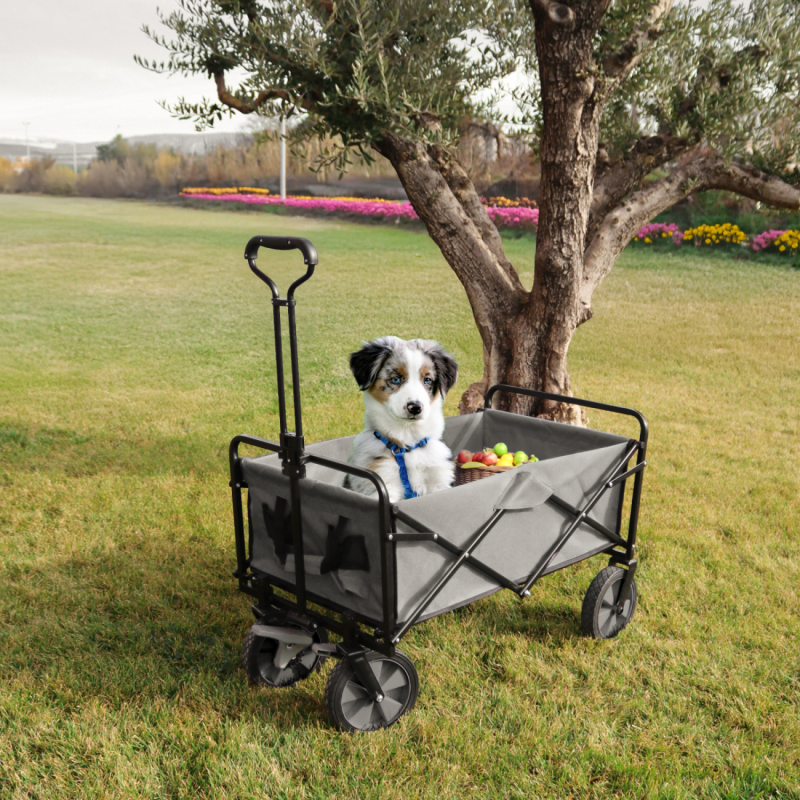Chariot de transport pliable - 90 Kg - Gris