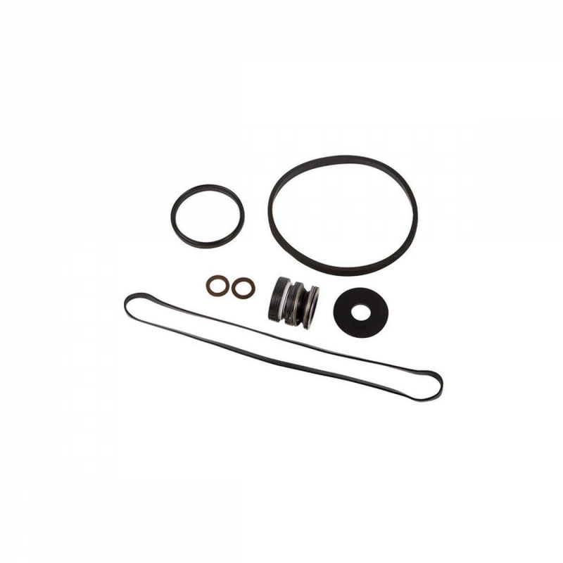 Pack de joints pour pompe de filtration Max Flo - SPX1800GS - HAYWARD