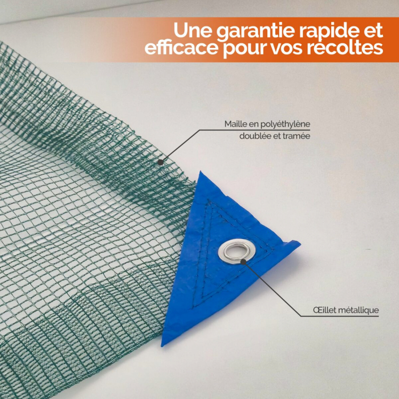 Filet de récolte - 12 x 12 m - Vert
