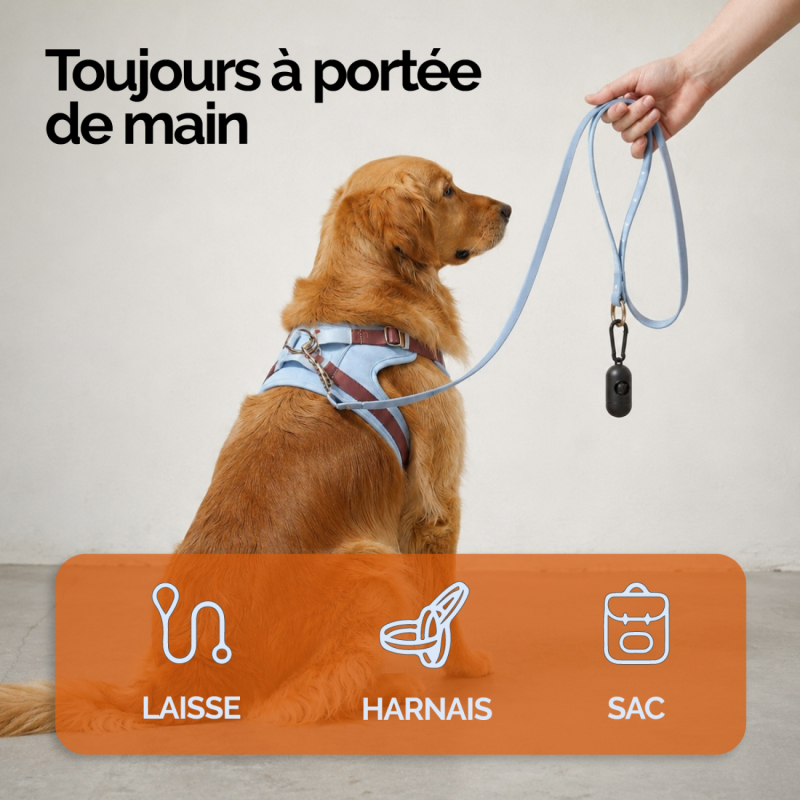 Lot de 300 sacs de déjection canine et distributeur - Noir