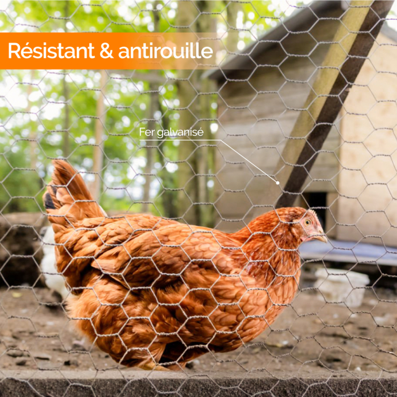 Grillage triple torsion - Maille 25 mm - 25 m x 1 m - Gris