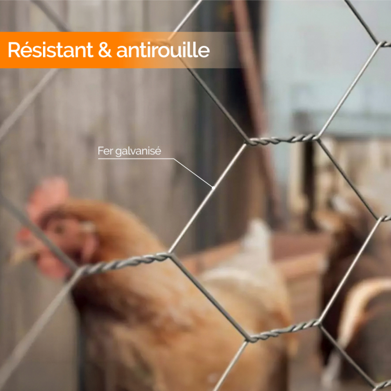 Grillage triple torsion - Maille 50 mm - 25 m x 1 m - Gris