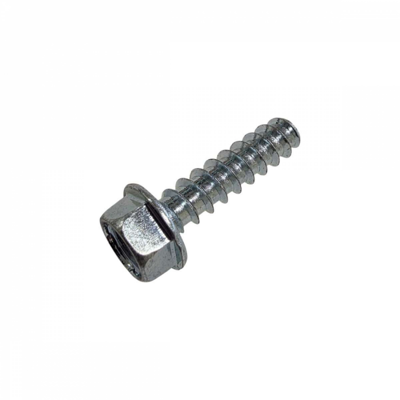 Vis de fixation de pied pour pompe de piscine - SPX1600Z5 - HAYWARD