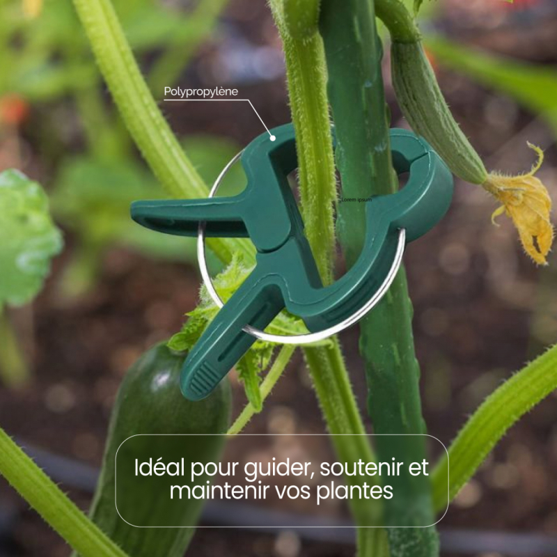 Lot de 100 clips d'attache pour plantes - Grande taille