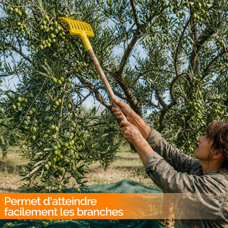 Peigne à olives 9 dents - 77 cm - Jaune