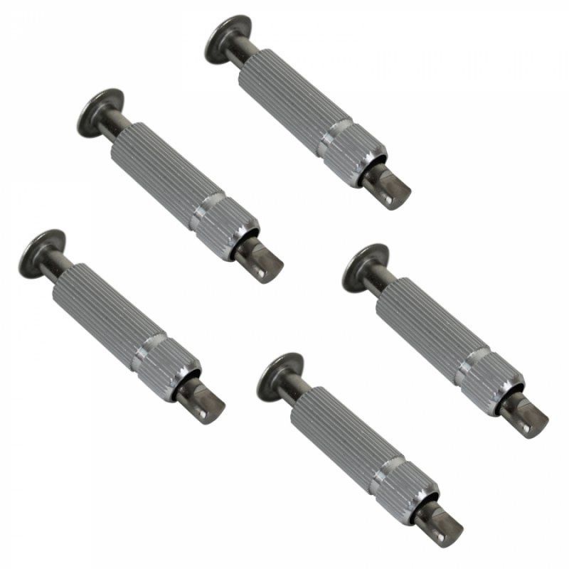 Lot de 5 pitons douilles escamotables en inox