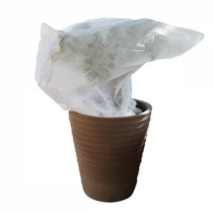 Lot de 2 housses de protection pour plantes - 2.20 x 4.40 m - Blanc