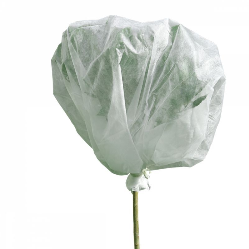 Voile d'hivernage pour plantes - 2 x 10 m - 30g/m² - Blanc