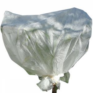 Voile d'hivernage pour plantes - 2 x 5 m - Blanc