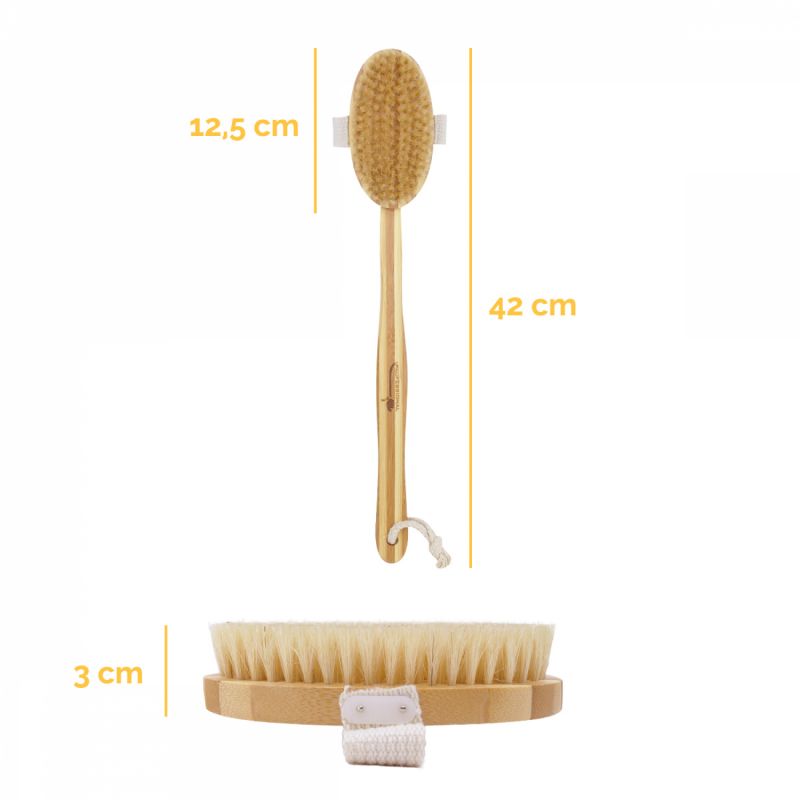 Brosse à poils avec manche en bambou amovible - 42 cm