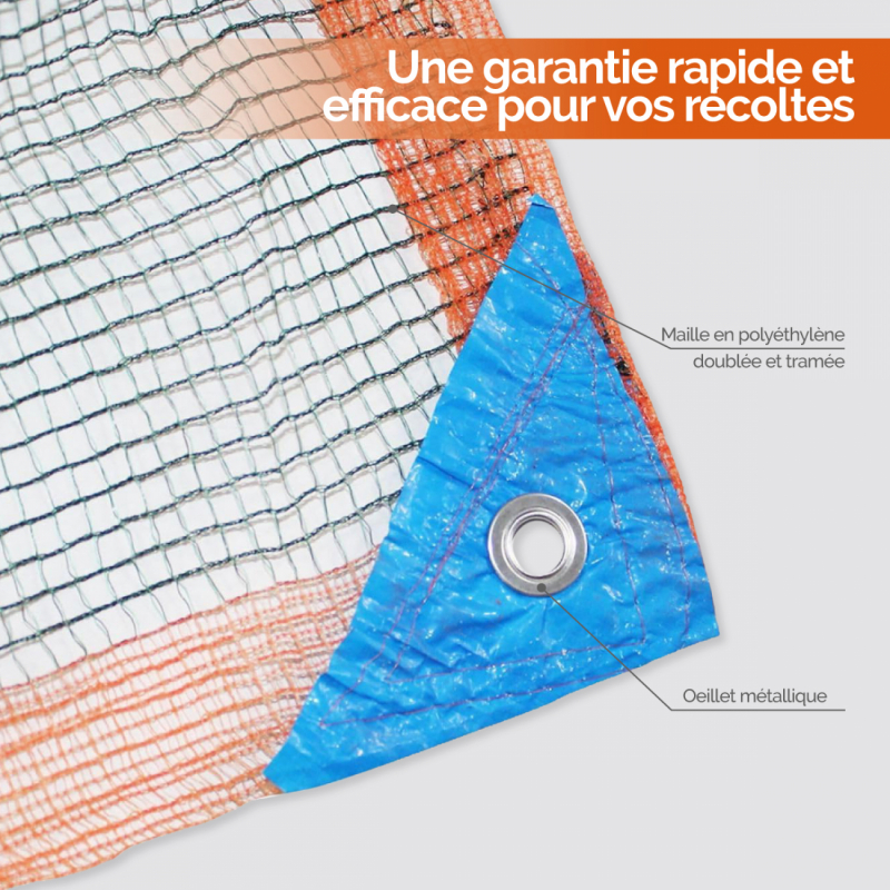 Filet de récolte - 6 x 8 m - Vert