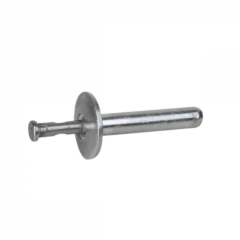 Lot de 100 Rivets de fixation en inox