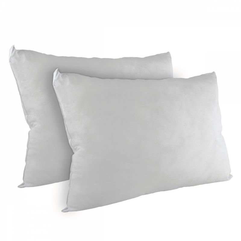 Lot de 2 coussins de garnissage - 30 x 50 cm